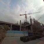 پروژه تندیس اقاقیا