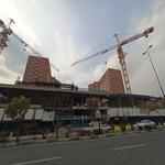 پروژه تندیس اقاقیا