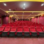 پروژه رونیکا پالاس