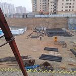 پروژه ونوس هوم لند اریکه پارسیان