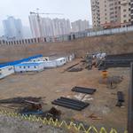 پروژه ونوس هوم لند اریکه پارسیان