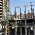 پروژه نارنجستان5-پاییز 1403