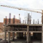 پروژه نارنجستان5-پاییز 1403