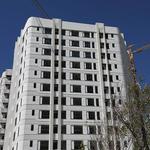 مراحل آخر کاری در پروژه نارنجستان4-پاییز 1403