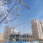 پروژه ونوس هوم لند اریکه پارسیان