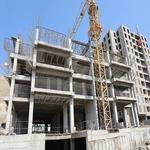 پیشرفت نارنجستان5-پاییز 1403