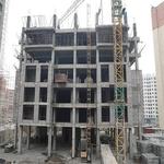 پیشرفت نارنجستان5-پاییز 1403