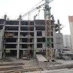 پیشرفت نارنجستان5-پاییز 1403