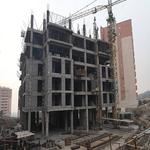 پیشرفت نارنجستان5-پاییز 1403