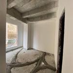 پیشرفت نارنجستان5-زمستان 1403