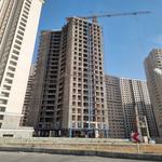 پروژه برلیان بهداری-تابستان 1404