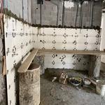 پیشرفت پروژه نارنجستان 5 تعاونی ابنیه آکام-تابستان 1404