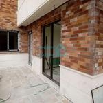 photo_2017-01-28_01-52-20