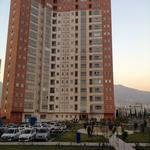 photo_2015-11-29_08-46-41