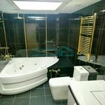 واحد نمونه پارلمان