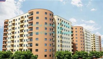 نبض مسکن در 5 گروه سنی (بخش اول)