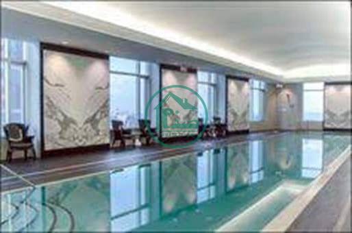 مشاعات شاهان ۳